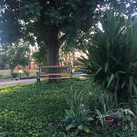 Oda ve Kahvaltı Agrib&b Il Pomo D'oro