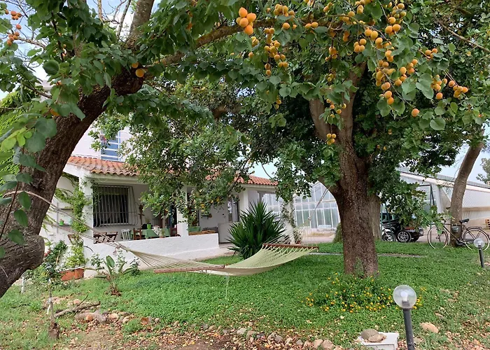 Agrib&b Il Pomo D'oro Oda ve Kahvaltı Assemini