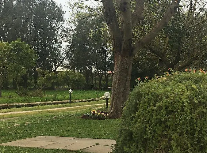 Agrib&b Il Pomo D'oro Oda ve Kahvaltı 3*