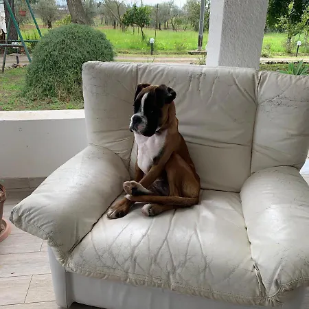 Agrib&b Il Pomo D'oro Frühstückspension