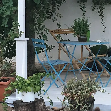 Frühstückspension Agrib&b Il Pomo D'oro