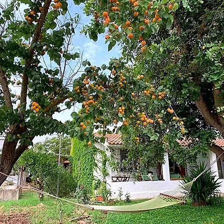 Agrib&b Il Pomo D'oro Bed & Breakfast