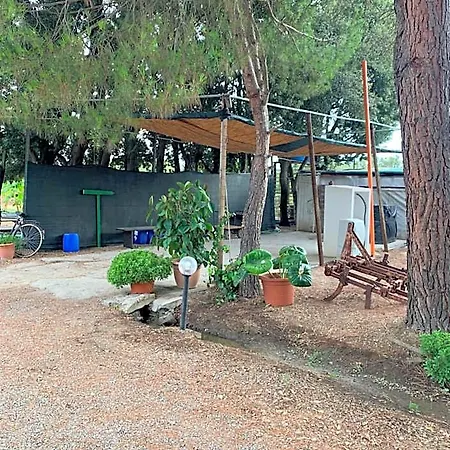 Agrib&b Il Pomo D'oro Bed & Breakfast 3*
