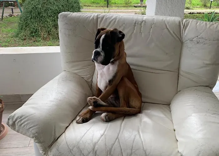 Agrib&b Il Pomo D'oro Frühstückspension