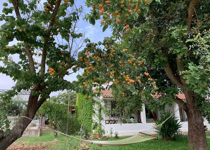 Agrib&b Il Pomo D'oro 3* Assemini